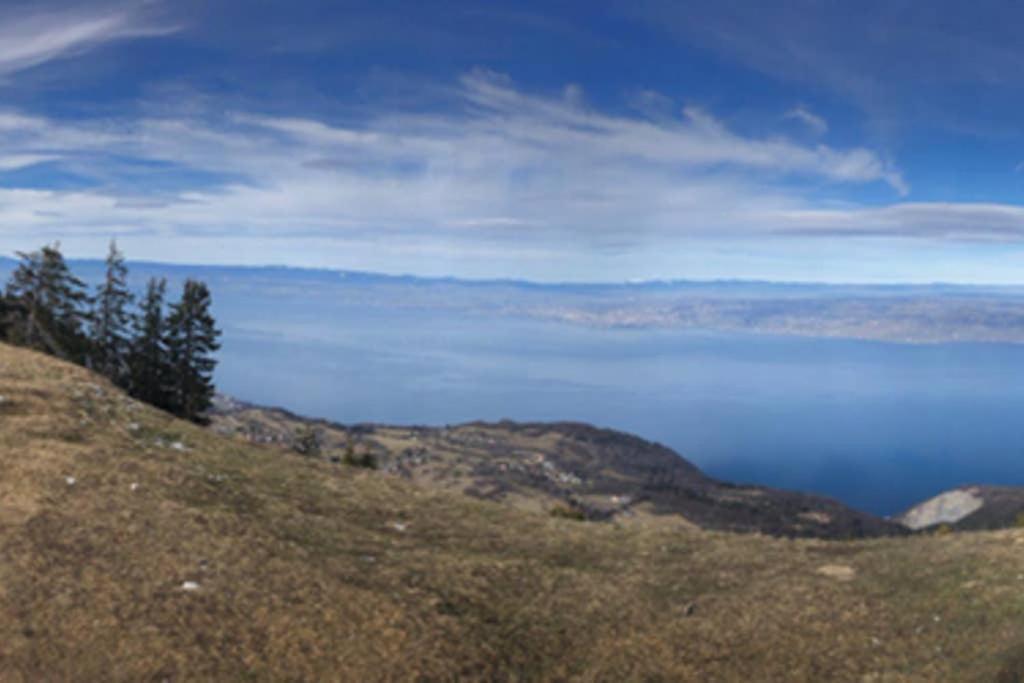 Studio entièrement rénové entre lac et montagne Thollon-les-Memises Exterior foto
