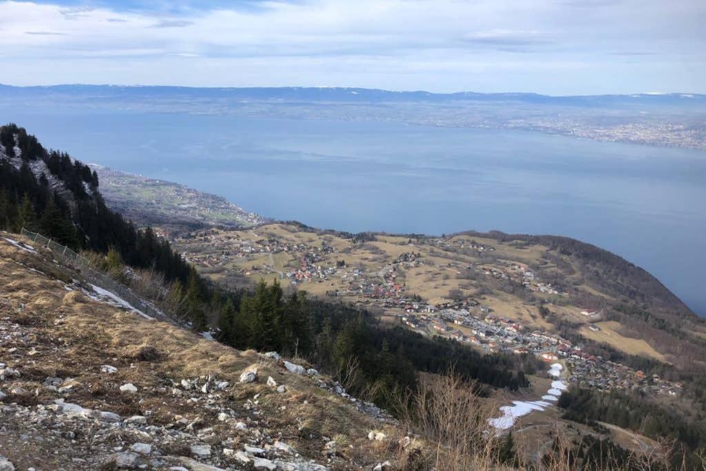 Studio entièrement rénové entre lac et montagne Thollon-les-Memises Exterior foto